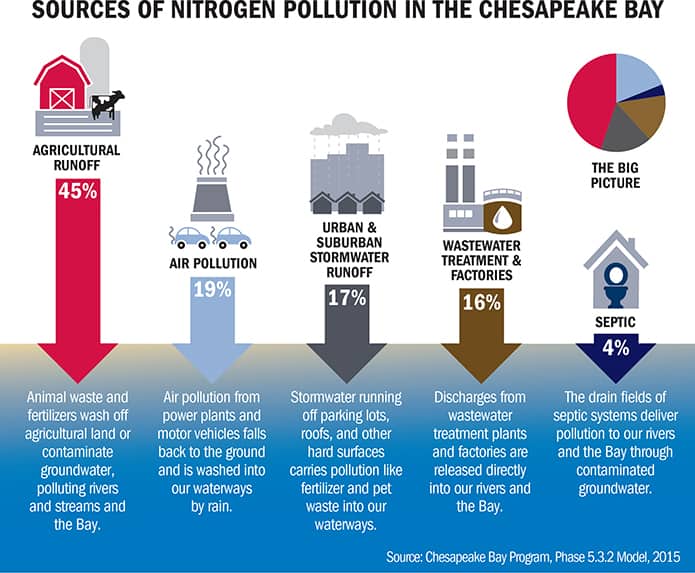 Sources of Nitrogen Pollution in the Chesapeake Bay infographic