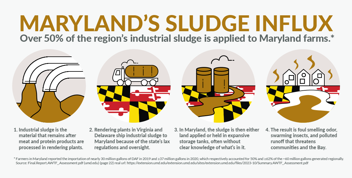 Maryland's Sludge Influx Over 50% of the region's industrial sludge is applied to Maryland farms.*  1. Industrial sludge is the material that remains after meat and protein products are processed in rendering plants. 2. Rendering plants in Virginia and Delaware ship industrial sludge to Maryland because of the state's lax regulations and oversight. 3. In Maryland, the sludge is then either land applied or held in expansive storage tanks, often without clear knowledge of what's in it. 4. The result is foul smelling odor, swarming insects, and polluted runoff that threatens communities and the Bay.  Farmers in Maryland reported the importation of nearly 30 million gallons of DAF in 2019 and ≥37 million gallons in 2020,  which respectively accounted for 50% and ≥62% of the ~60 million gallons generated regionally.  Source: Final.Report.AWTF_.Assessment.pdf (umd.edu) (page 22) real url: https://extension.umd.edu/extension.umd.edu/sites/extension.umd.edu/files/2023-10/Summary.AWTF_.Assessment.pdf