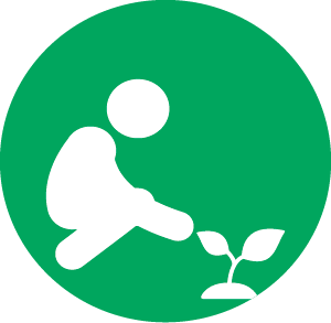 person planting trees