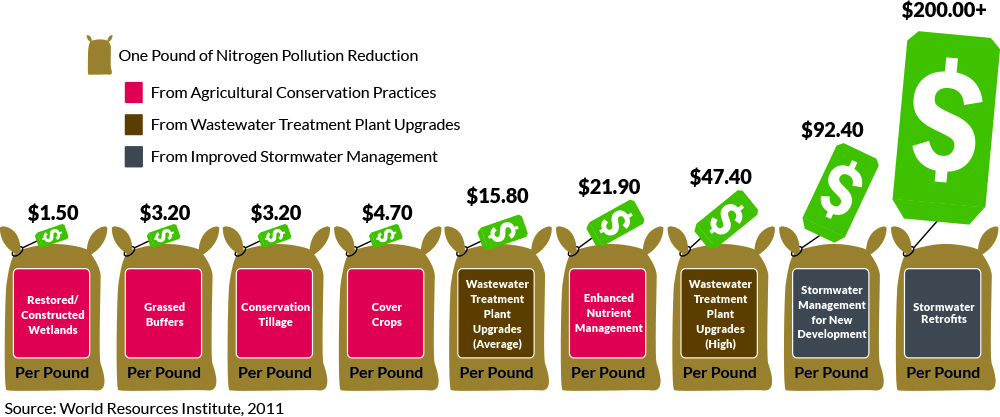 A graphic shows a series of bags identifying practices that reduce nitrogen pollution and their per pound cost for reduction.