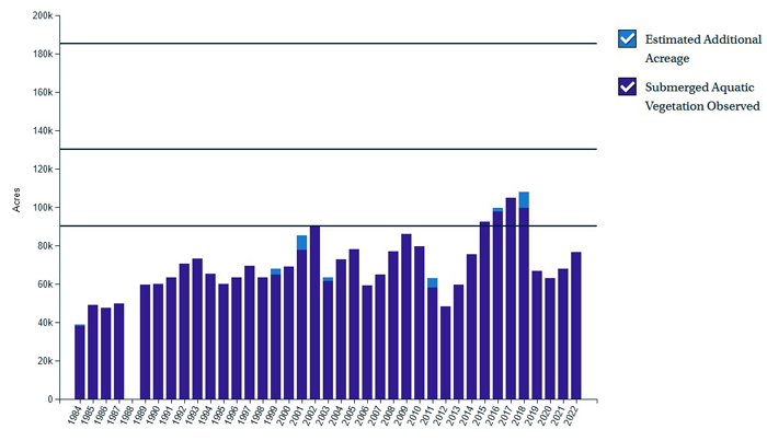 Graph shows how submerged aquatic vegetation (aka underwater grasses) abundance has fluctuated over the years, with 2016 surpassing the 2017 target of 90,000 acres.