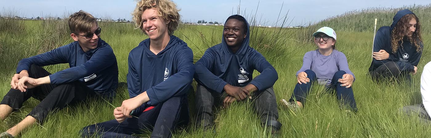 Students sitting in a field.