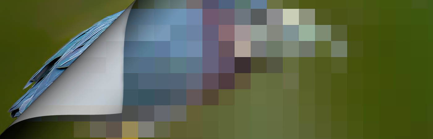 A blurred image that may represent a bird teases the photo contest winner announcement.