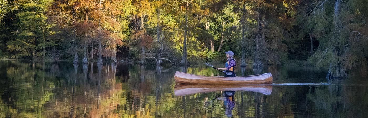 A woman paddles a canoe among cypress trees.