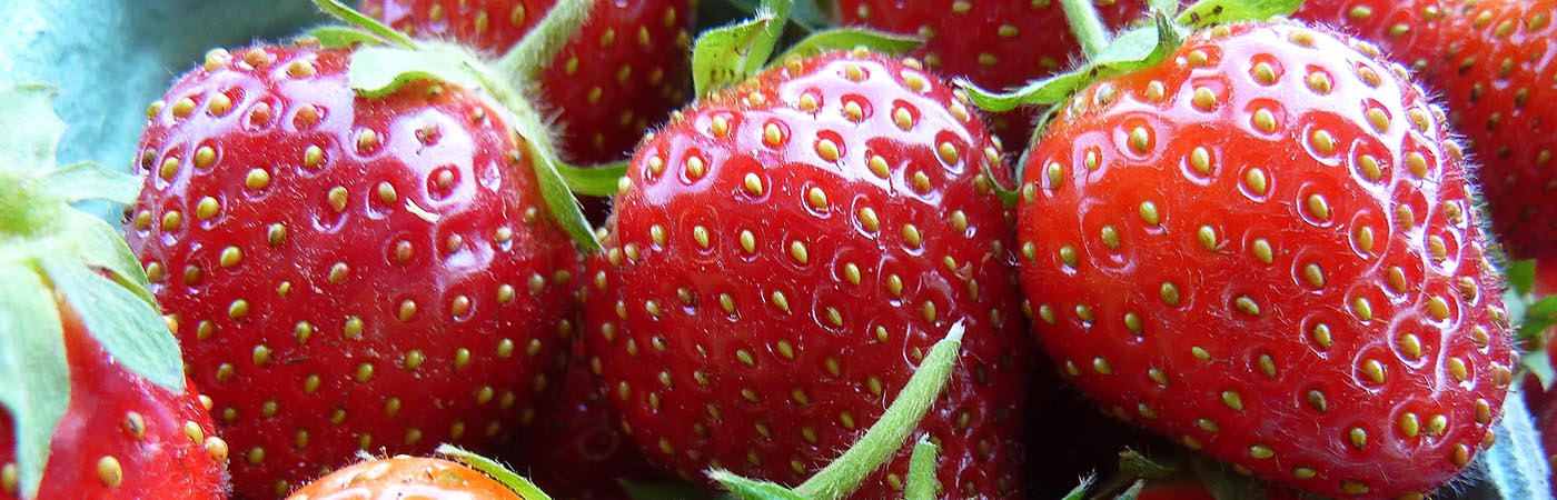 Juicy red strawberries.