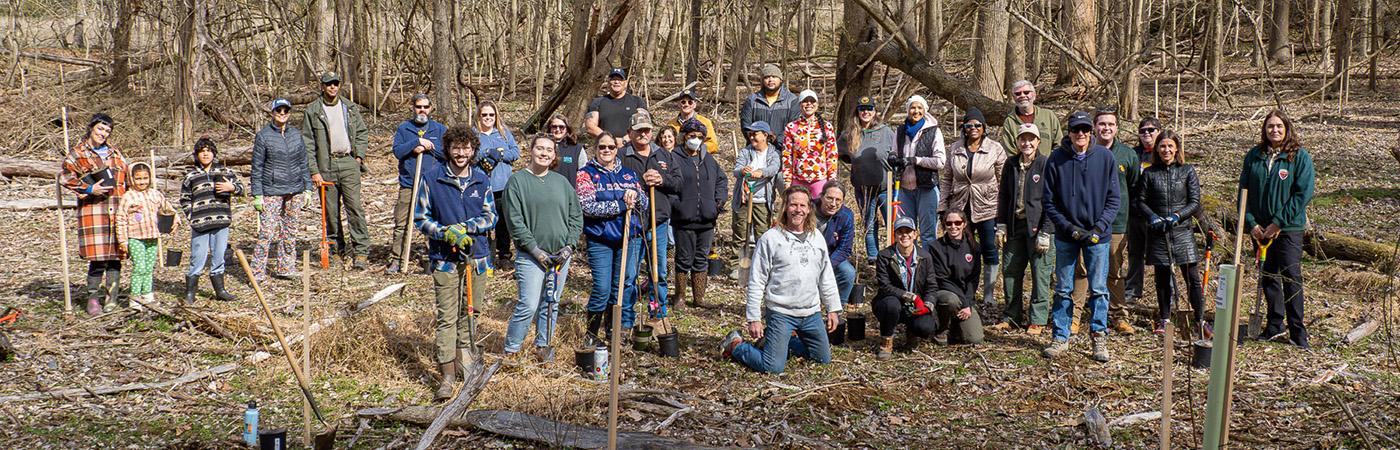 Dozens of people stand together in the woods during a tree planting.