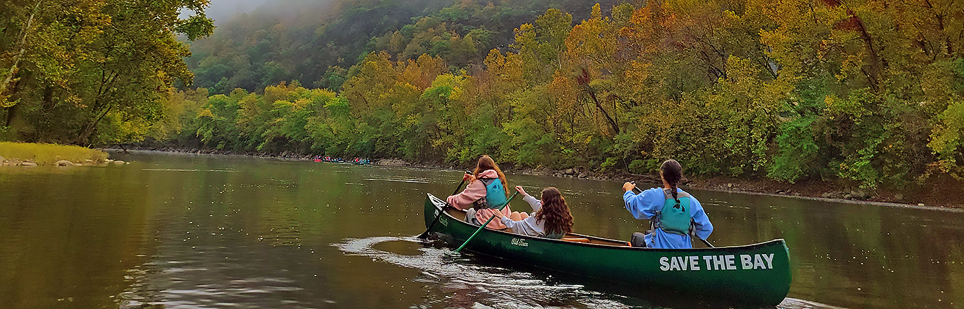 Students paddling a Save the Bay canoe along a quiet stream.