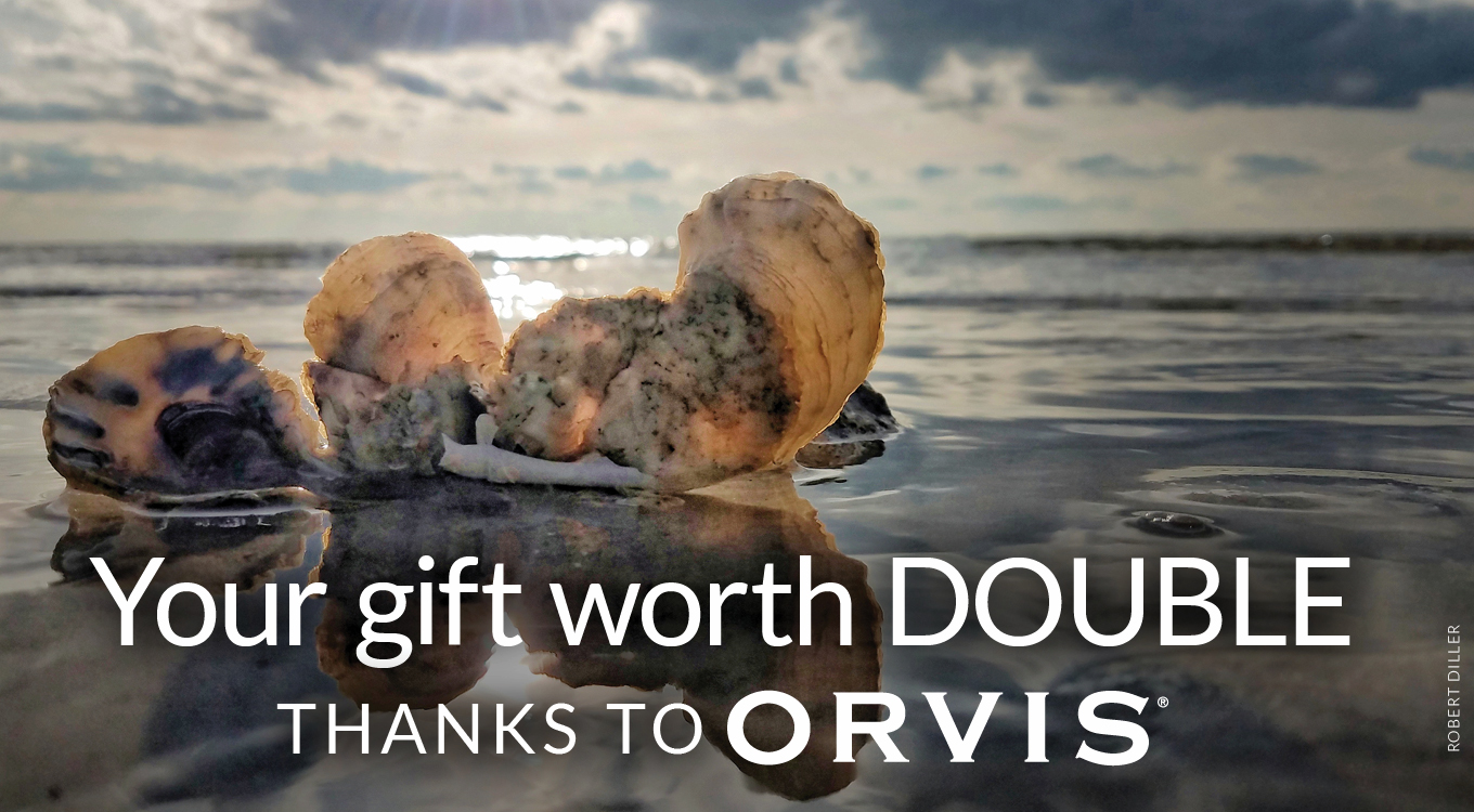 Your Gift Worth Double - Thanks to Orvis (Photo Credit: Robert Diller)