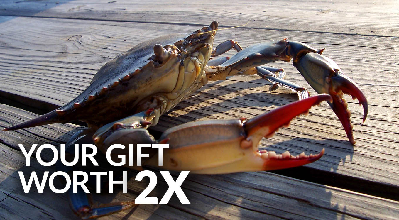 Your Gift Worth 2X!