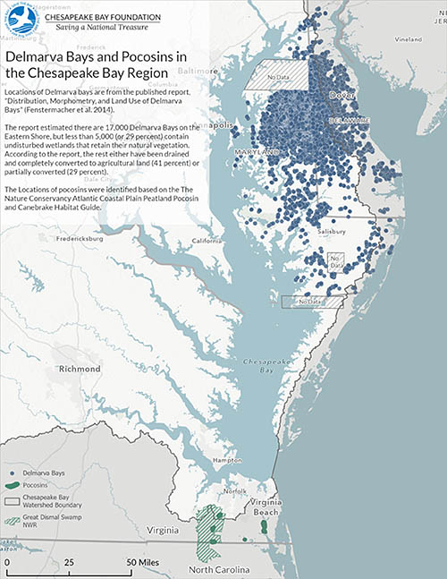 Locations of Delmarva bays are from the published report, 'Distribution, Morphometry, and Land Use of Delmarva Bays' (Fenstermacher et al. 2014). The report estimated there are 17,000 Delmarva Bays on the Eastern Shore, but less than 5,000 (or 29 percent) contain undisturbed wetlands that retain their natural vegetation. According to the report, the rest either have been drained and completely converted to agricultural land (41 percent) or partially converted (29 percent). The Locations of pocosins were identified based on the The Nature Conservancy Atlantic Coastal Plain Peatland Pocosin and Canebrake Habitat Guide.