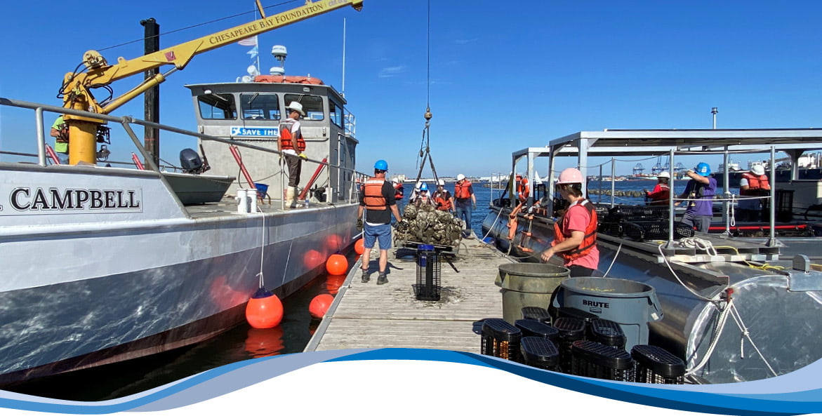 Pallet of reef balls being loading on to the CBF's oyster restoration vessel, the Patricia Campbell.