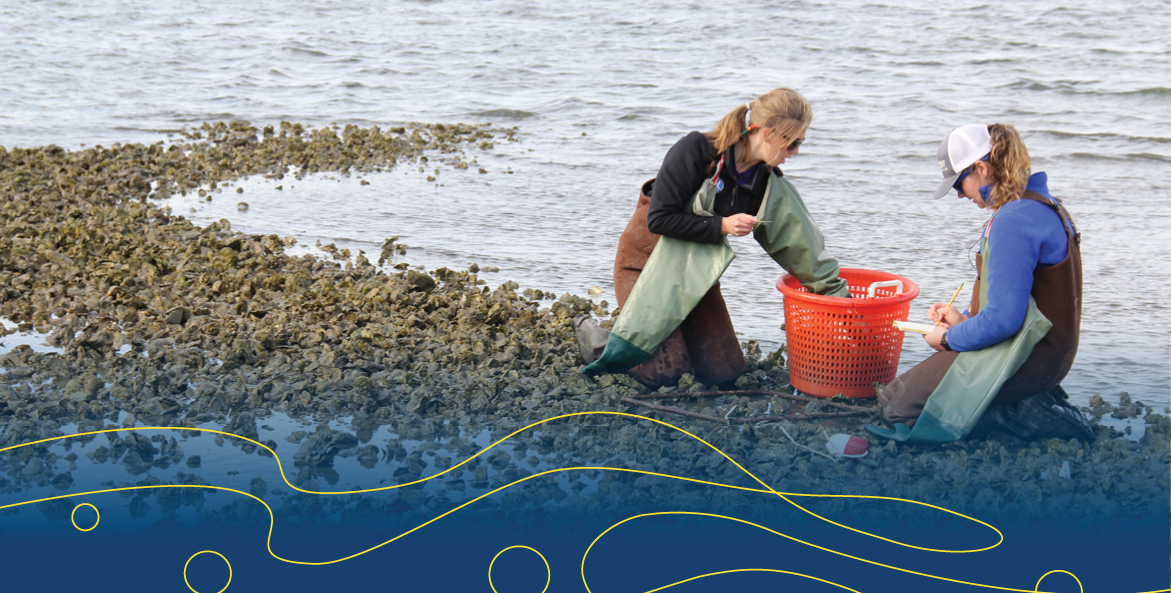 Two women in protective aprons work on an oyster bed.