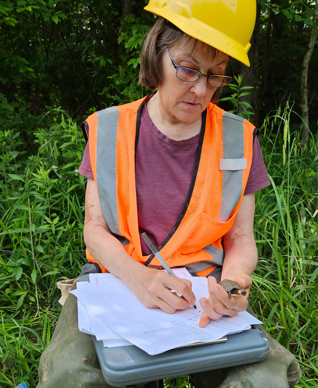 A woman wearing a hard hat and orange vest holds a tiny turtle while recording information on a clipboard.