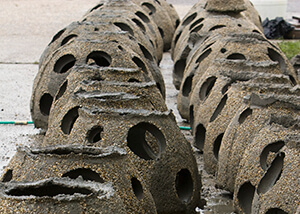 Photo of two rows of concrete reef balls