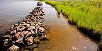 Photo of rocky shoal courtesy of the Elizabeth River Project. 