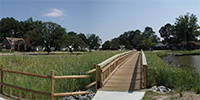 Image of wetland restoration. 