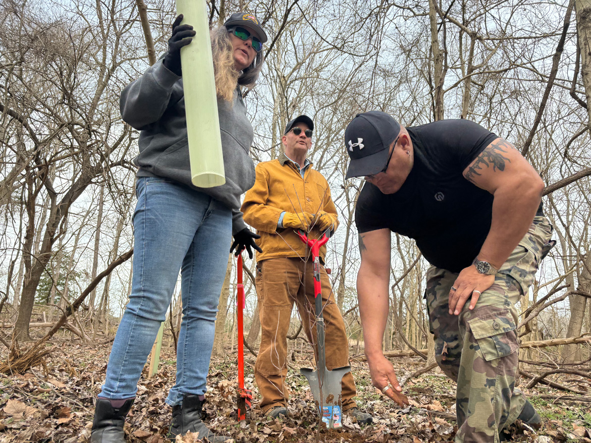 A man kneels down to plant a tree sapling, with two people surrounding him.