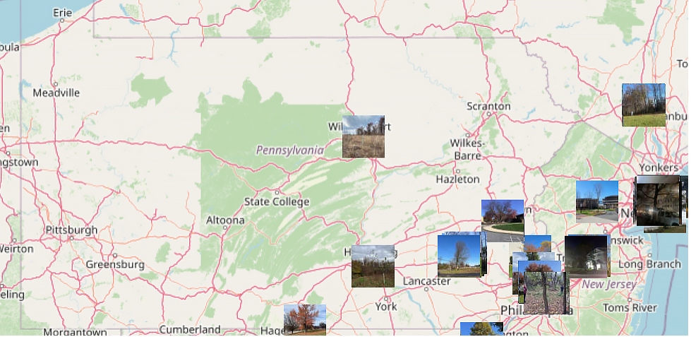 A map with photos of trees overlaid across areas of Pennsylvania.