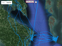 osprey tracking map thumbnail