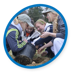 student wave,tree planting