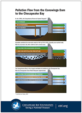 Infographic: Pollution flow from the Conowingo Dam to the Chesapeake Bay.