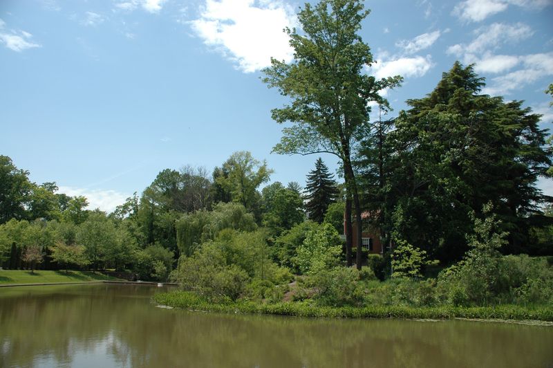 Image of the Dell on the grounds of the University of Virginia serves as a stormwater retention and treatment facility.