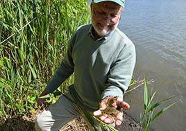 Man holds crab shells near marsh.