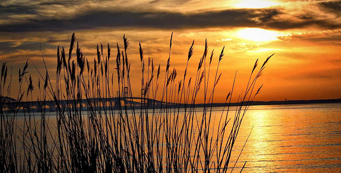 Photo of the Week: Beautiful Kent Island Sunset