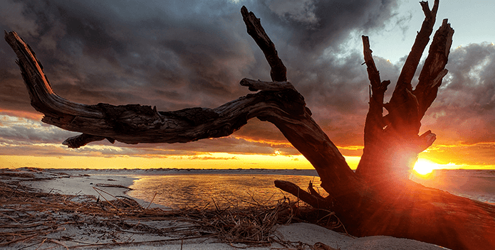 A large piece of driftwood frames the sunset on a deserted beach. 