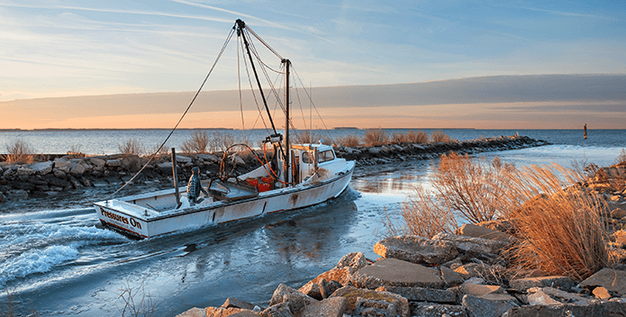 An oyster boat rides between a jetty and land as it heads out into the Bay at sunrise.