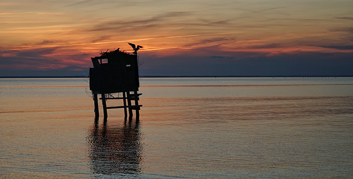 Photo of the Week: Landings and Last Light