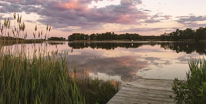 Beautiful sunset over water with grasses in the foreground.