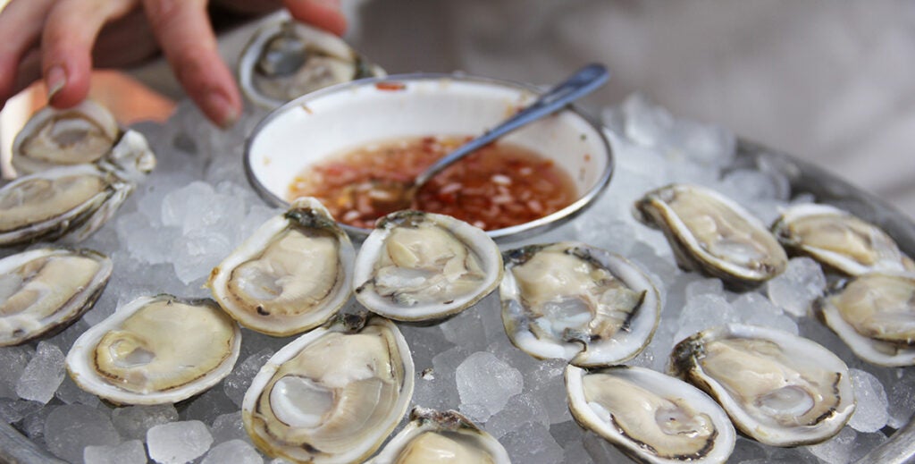 Oysters on the half shell sit on ice.