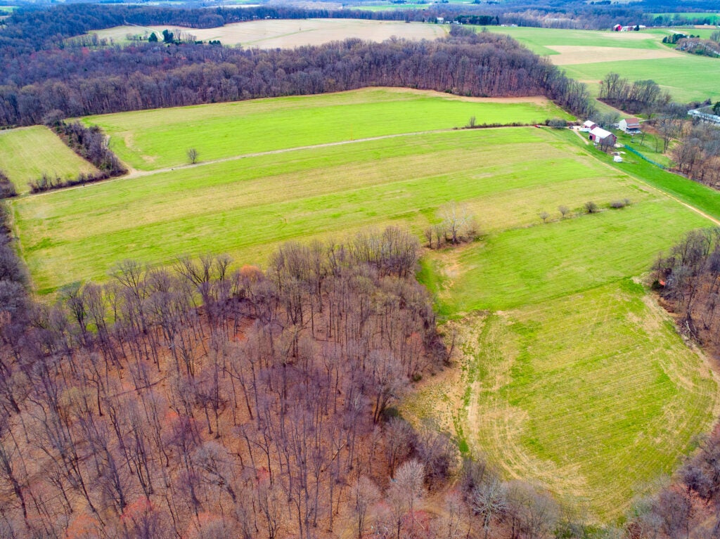 Portions of forest are divided by bright green farm fields.