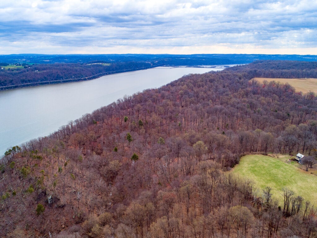 A large forest runs parallel to the river.