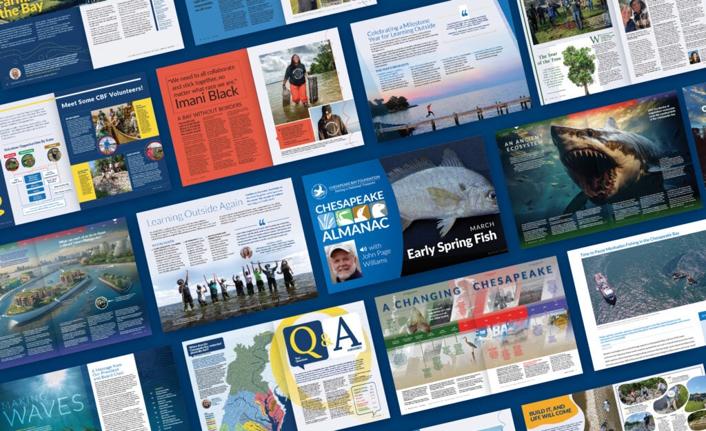 A collage of different magazine and report covers and articles.