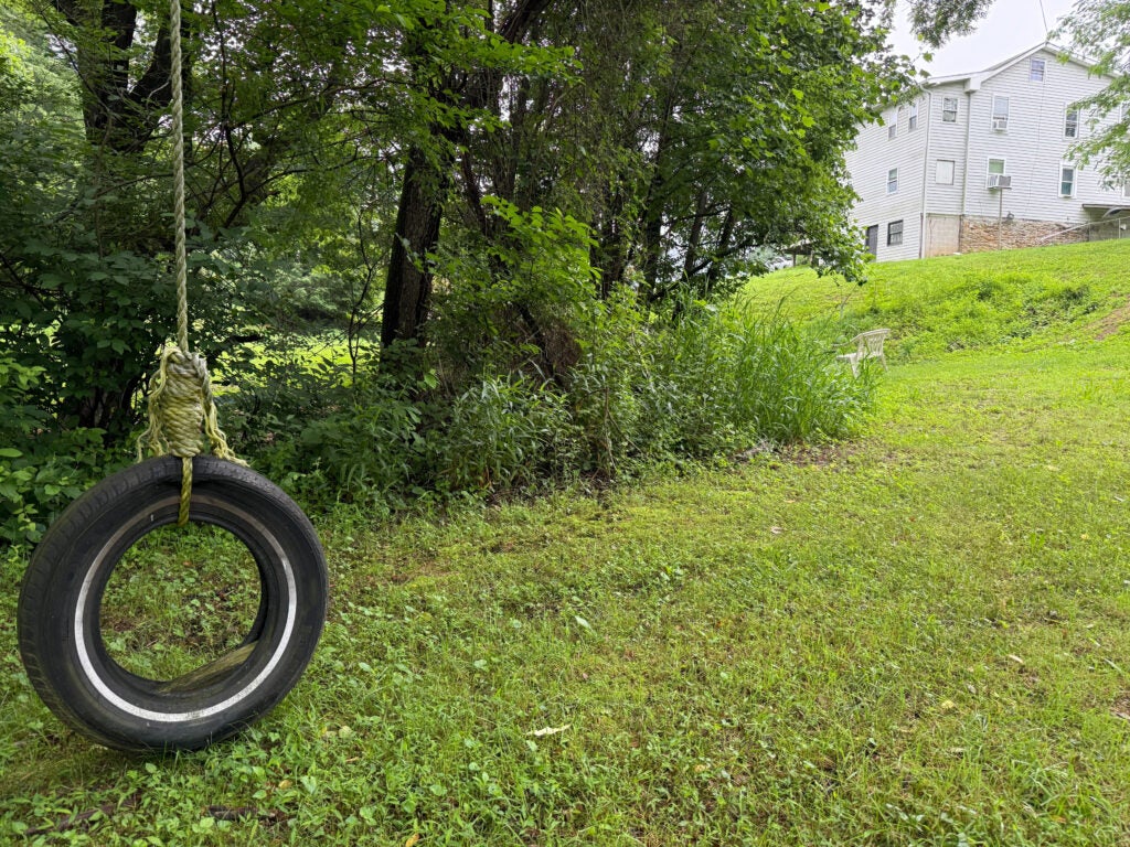 A tire swing hangs in a hollow below a home.