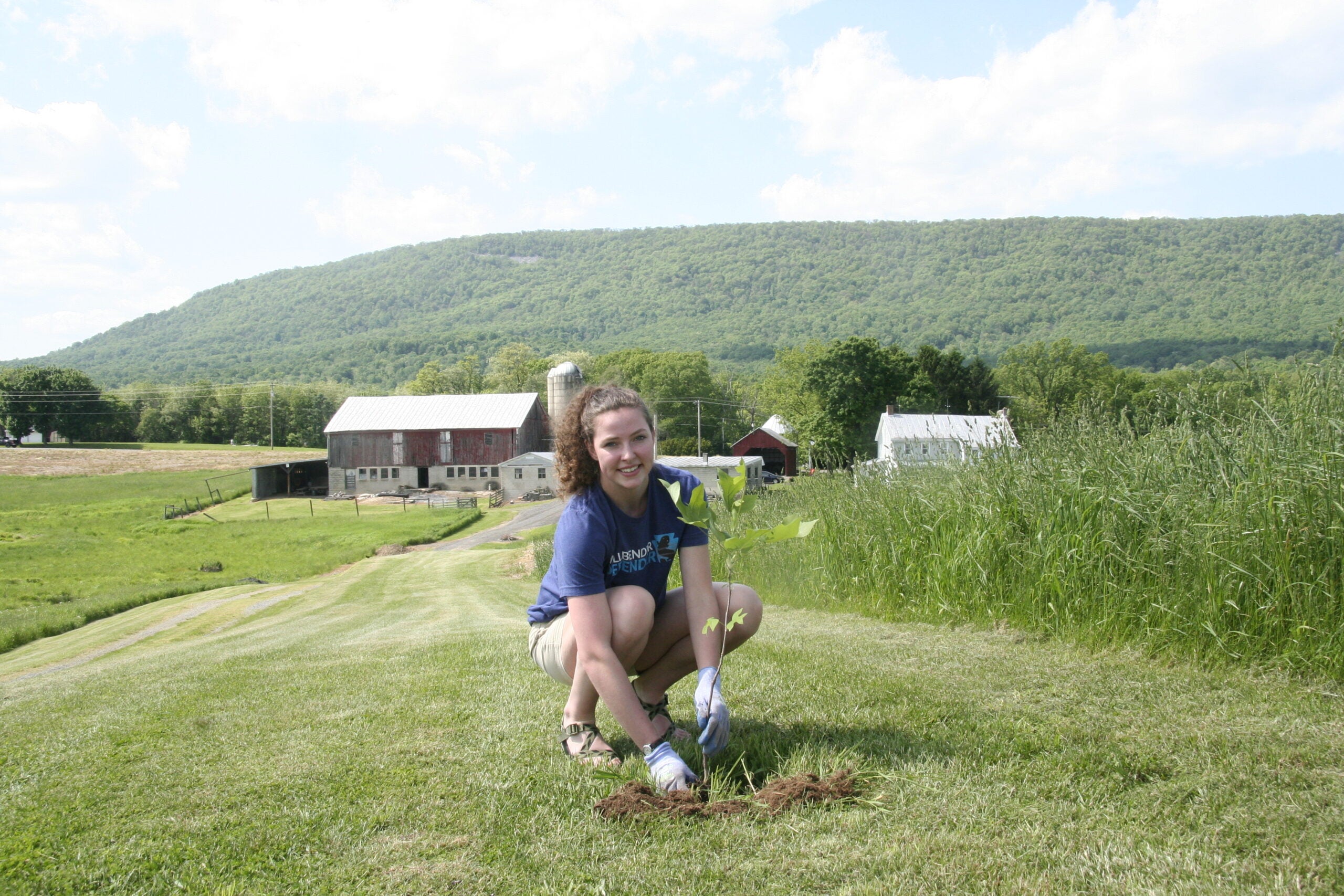 Keystone Tree Fund Keystone 10 Million Trees Partnership • Chesapeake Bay Foundation
