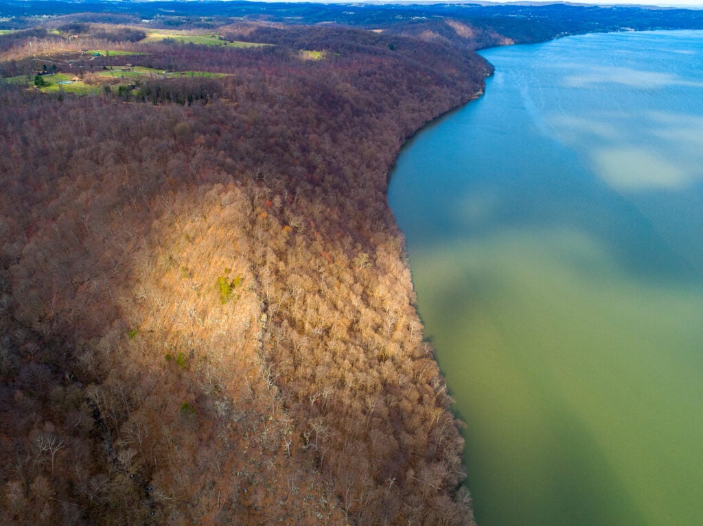 In an aerial photo a trail can be seen like a dark ridge cutting through the woods.