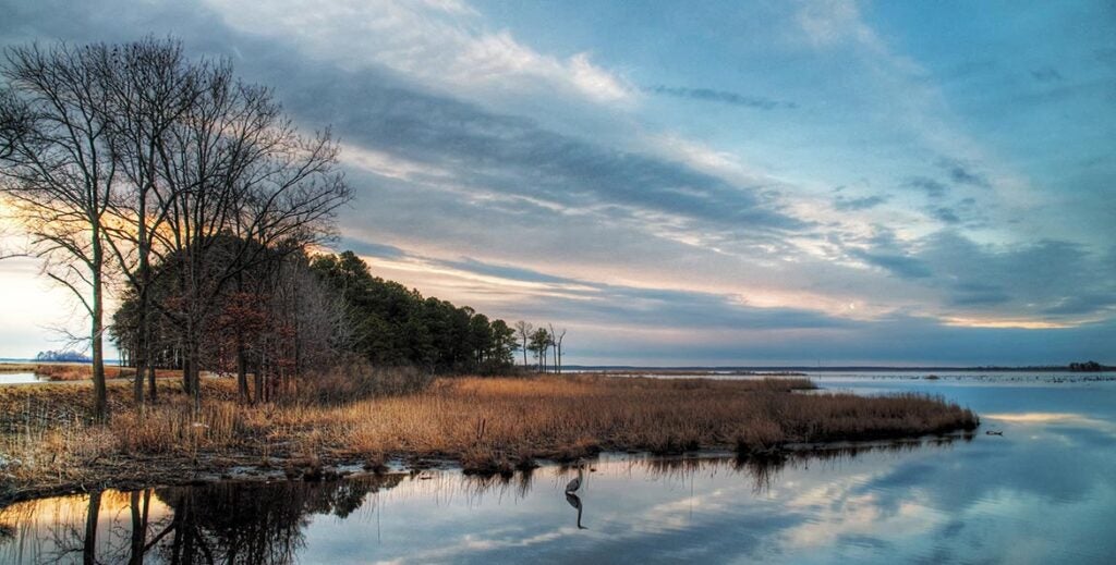 maryland coastal scene blackwater