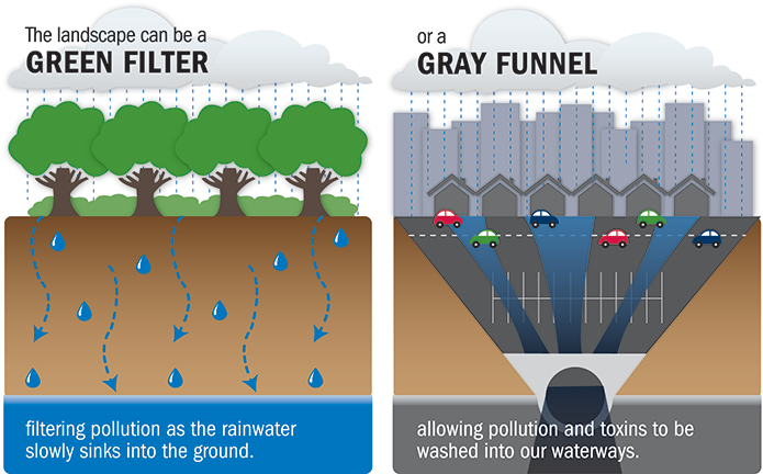 The Green Filter side of graphic shows rain falling on trees and bushes and filtering through the ground. The Gray Funnel side shows rain falling on a cityscape and running off roads and parking lots into a storm drain.