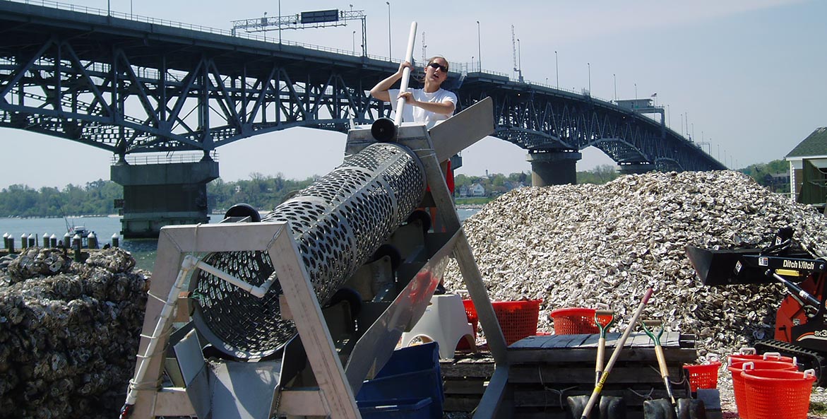 Virginia Backs Oyster Shell Recycling with New Fund • Chesapeake Bay ...