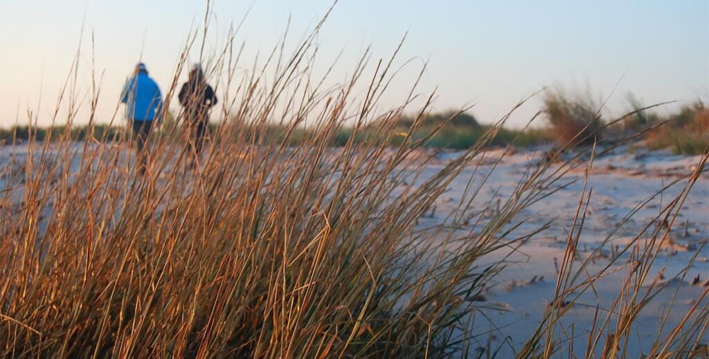 Two people walk along a the water with dune grasses in the foreground at sunset or sunrise.