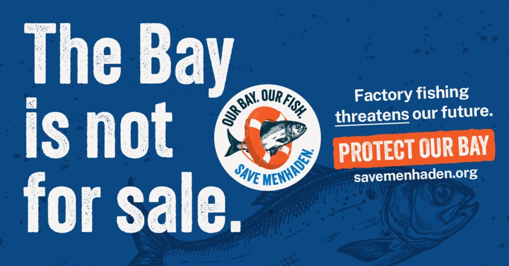 The Bay is not for sale. Factory fishing threatens our future. Protect Our Bay. savemenhaden.org Graphic of a fish swimming through a life preserver with the words Our Bay. Our Fish. Save Menhaden.