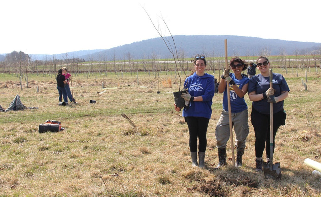 Three young women hold shovels and a potted tree sapling, standing in a field of newly planted tree saplings.