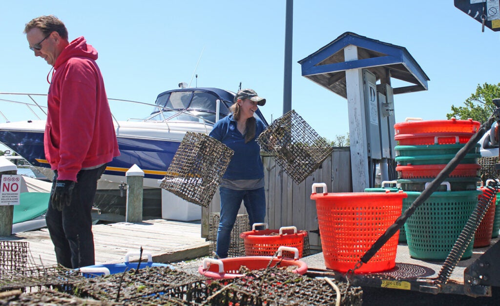 Two people on a sunny dock handle wire oyster cages and colorful plastic baskets beside a moored boat.