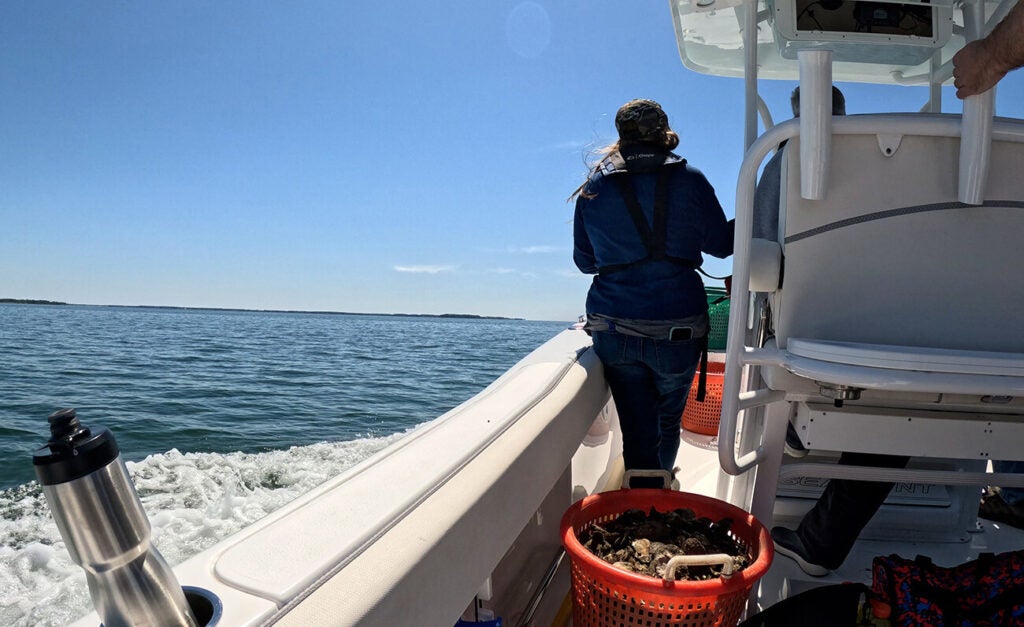 A person in a cap and life jacket stands at the back of a small boat on a sunny day, with a red basket of shellfish, calm blue water, and a clear sky stretching to the horizon.