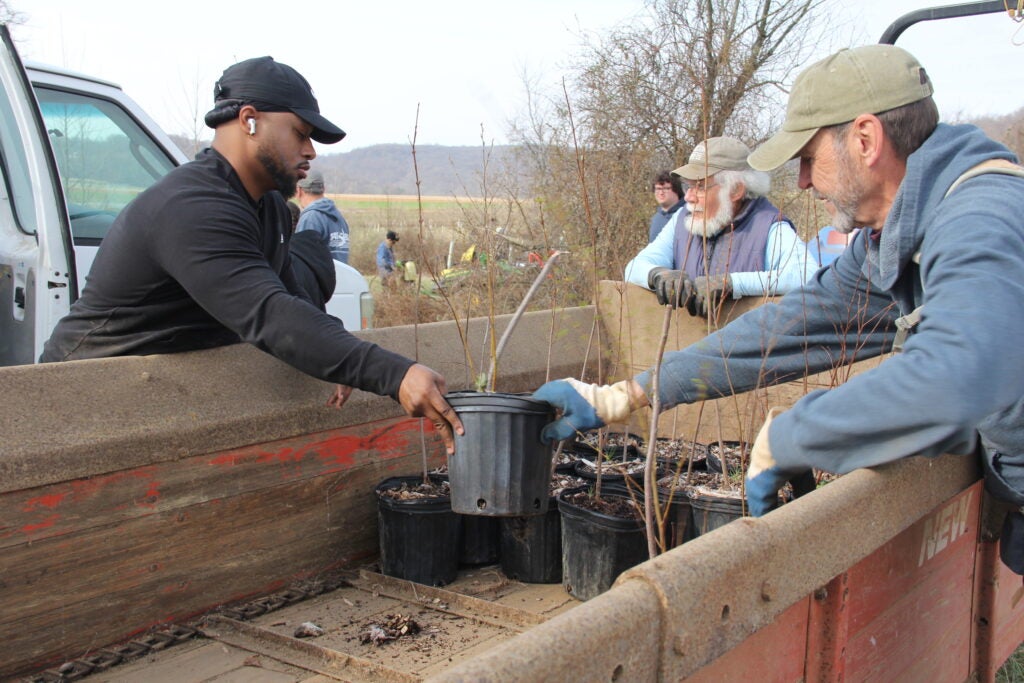 Two men take potted tree saplings out of a truck, with a field of newly planted trees visible in the background.