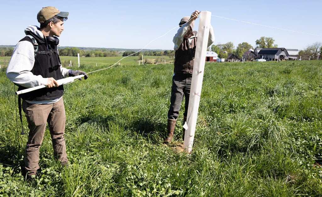 Two men attach wire for electric fences across a farm field.