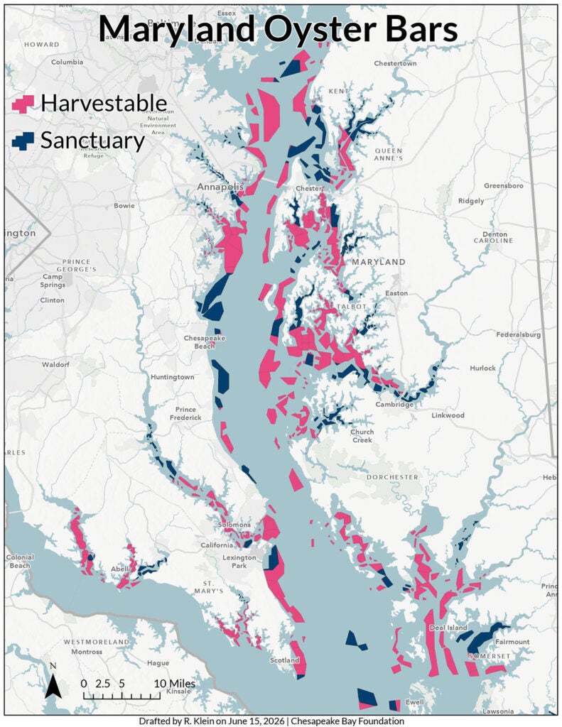 A map titled Maryland Oyster Bars shows the Chesapeake Bay running through Maryland with locations of harvestable oyster reefs in pink and sanctuary oyster reefs in blue.